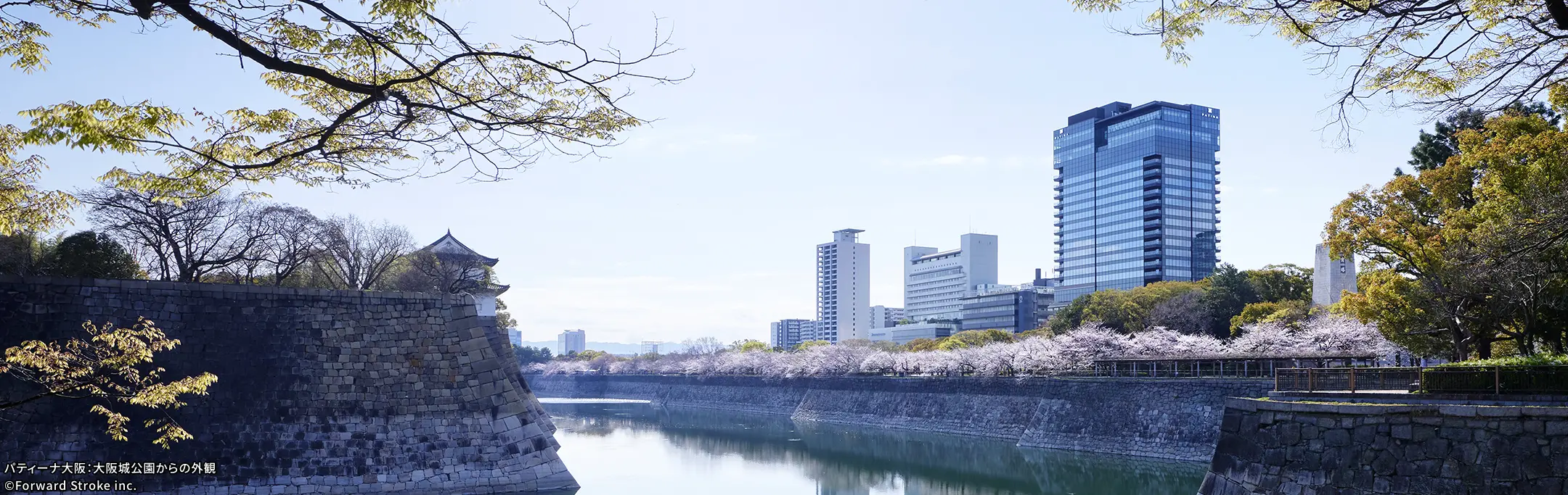 大阪城公園から見えるパティーナ大阪の外観