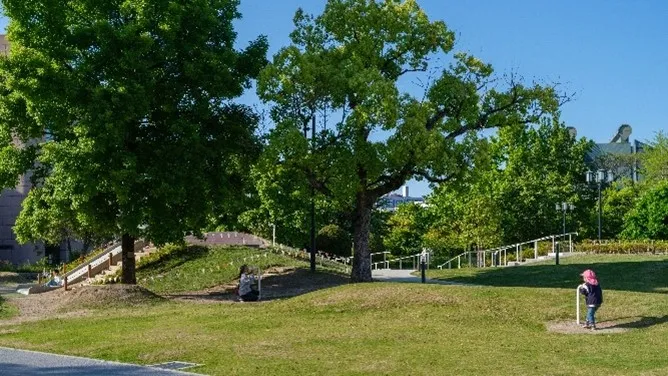 大屋根ひろば