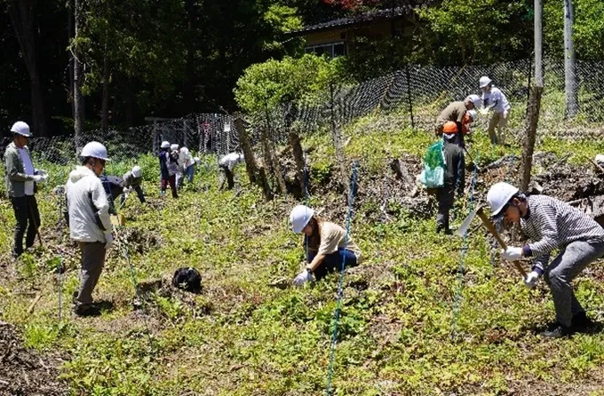 「企業の森「エコロじいの森2 梅郷」森林保全活動　植樹イベントの実施について