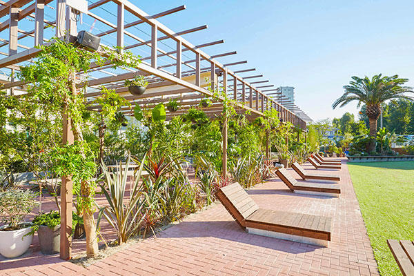 「SHARE GREEN MINAMI AOYAMA」敷地内の写真